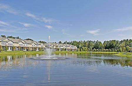 Pond