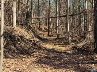 County Road 261, Town Creek, AL 35672