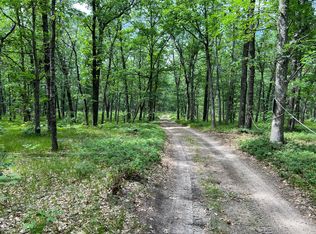 E Wolf Trl, Free Soil, MI 49411