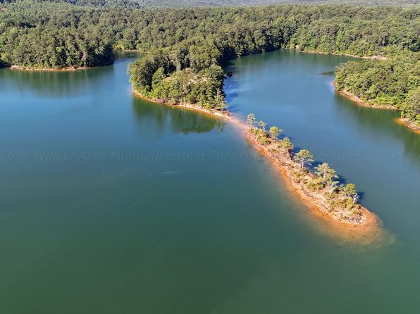 0 Long Leaf Rd, Double Springs, AL 35553