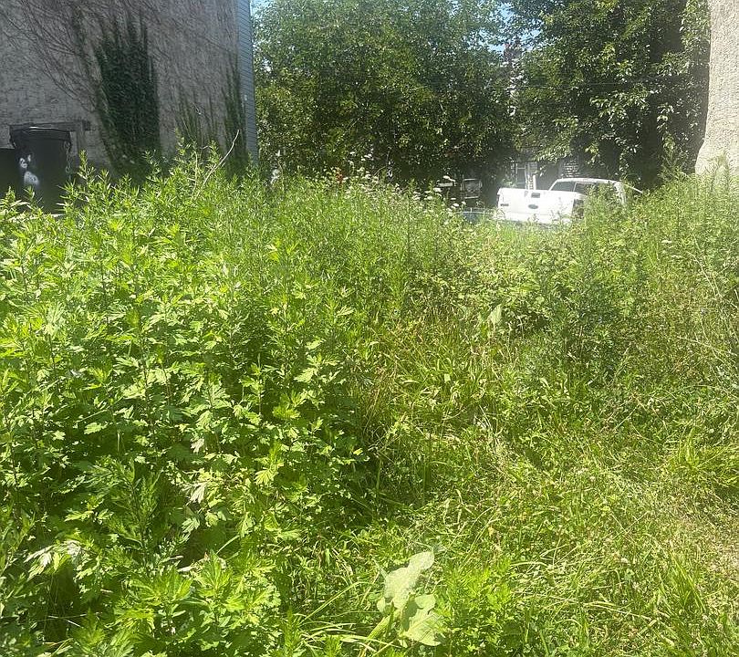 2nd image of 4538 N Marvine St