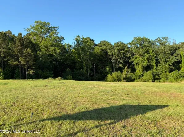6599 Wirtz Rd Lot 2, Flowood, MS 39232