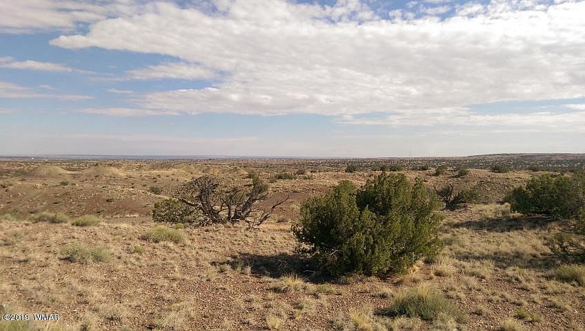 2nd image of LOT 202 River Springs Ranch St