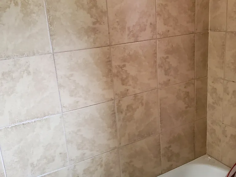 Nice Tile around Tub
