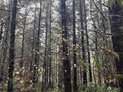 0 Pleasant Valley Rd, Chehalis, WA, 98532