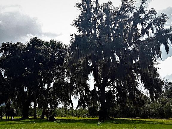 2nd image of 971 Old Gainesville Hwy