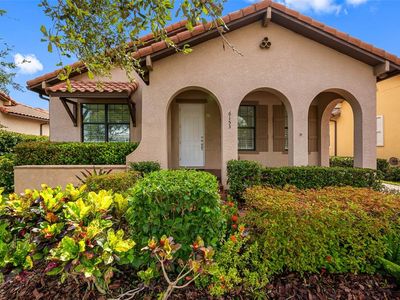 6153 Yeats Manor Dr, Tampa, FL, 33616