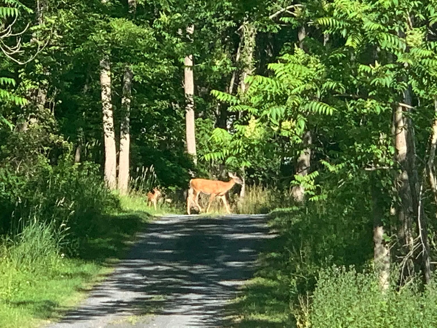 Wallkill Rd, Walden — Photo 4