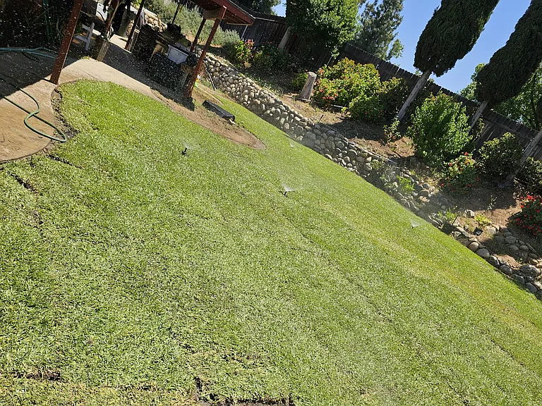 E Citrus Ave — Photo 2