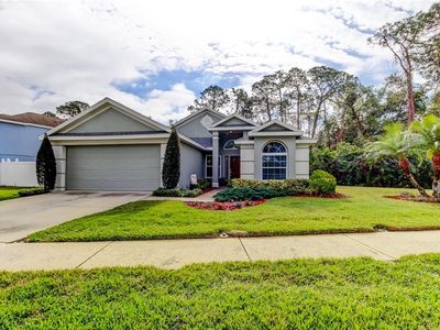 9702 Fredericksburg Rd, Tampa, FL, 33635