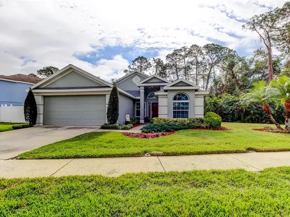 9702 Fredericksburg Rd, Tampa, FL 33635