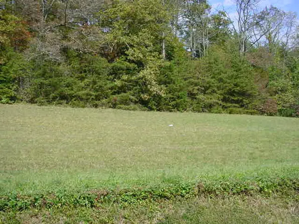 219 Jones Cove Rd, Cosby, TN 37722