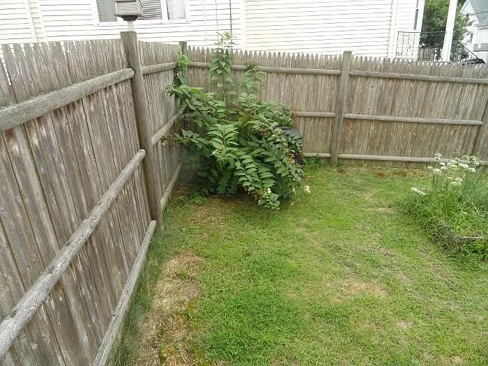 Walnut St — Photo 60