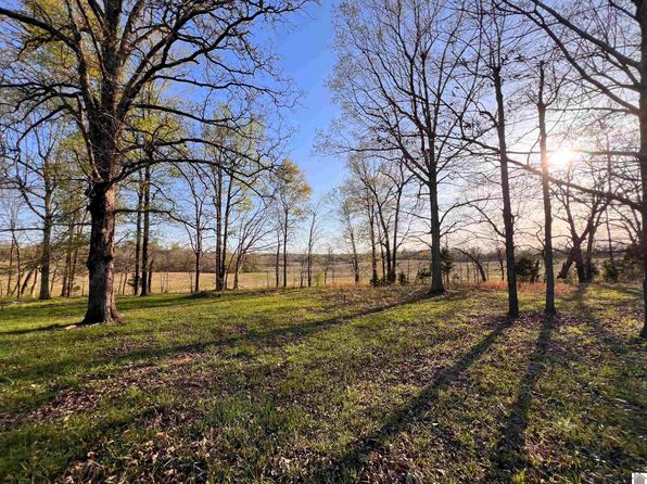 824 Kellum Rd, Grand Rivers, KY 42045