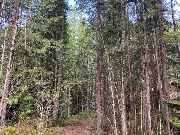 30 N Skokomish Drive, Hoodsport, WA 98548