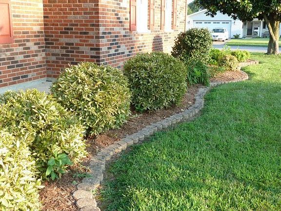 4th image of 2319 Whirlaway Dr