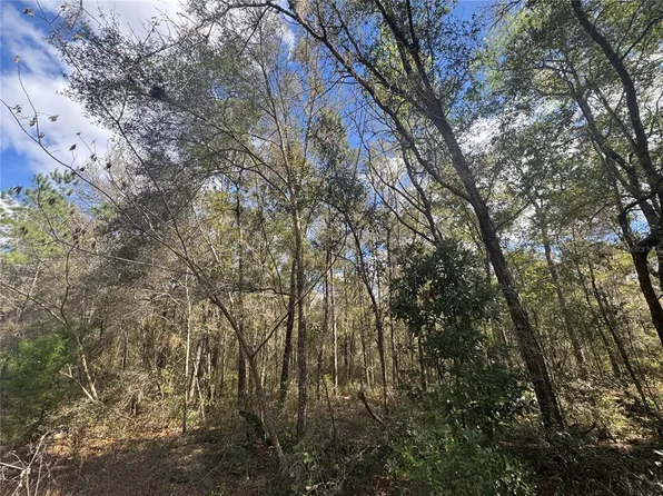 0000 NE 154TH AVENUE LOT 22, WILLISTON, FL 32696