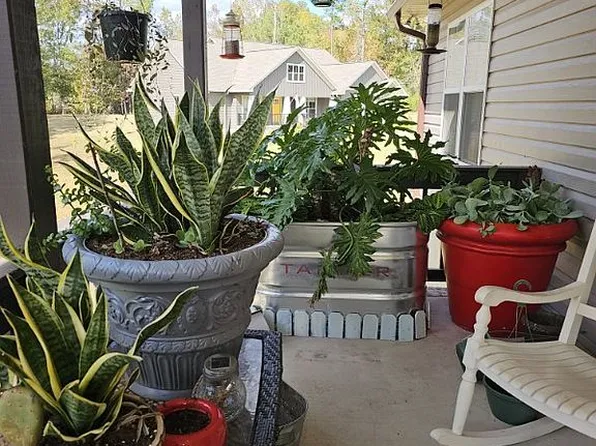1530 Cottage Ln, Southside, AL 35907