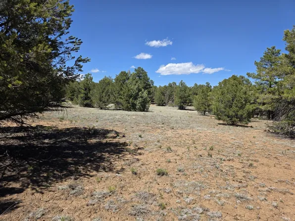 Tbd 7th Trl, Cotopaxi, CO 81223