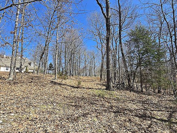 5th image of 7949 Ozark Ridge Dr