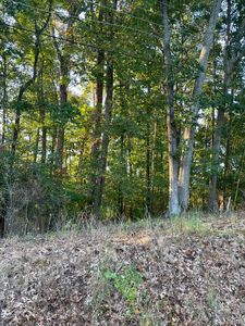 104 Arlington Heights Dr Lot 3, Lynchburg, VA, 24501