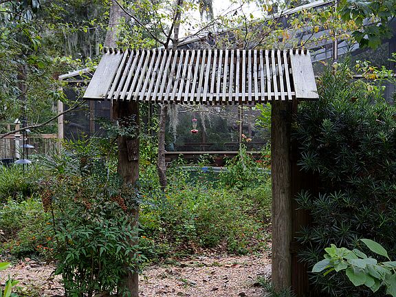 Easy to maintain landscaping