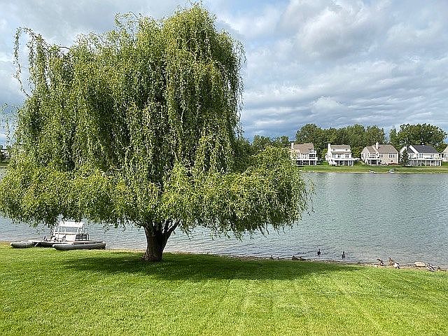 1st image of 984 Island Lake Dr