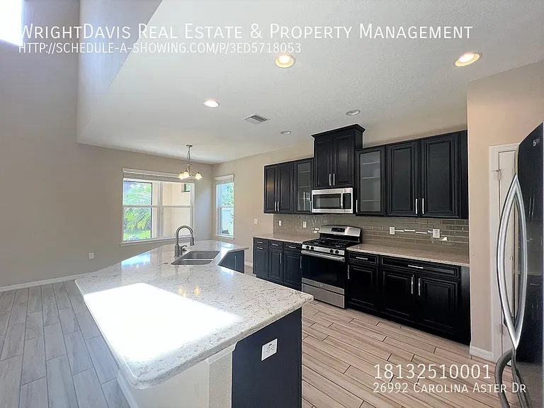 26992 Carolina Aster Dr — Photo 8