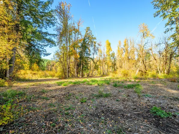 Siuslaw River Rd, Lorane, OR 97451