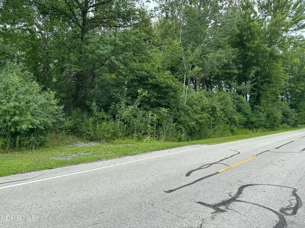 290 S Eber Rd, Swanton, OH 43558