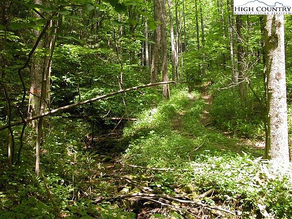 2nd image of 63.90 Acres Blackberry Road