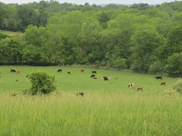 621 Blue Water Dr Lot 57, Cookeville, TN 38506