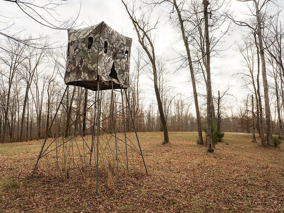 61st image of this home