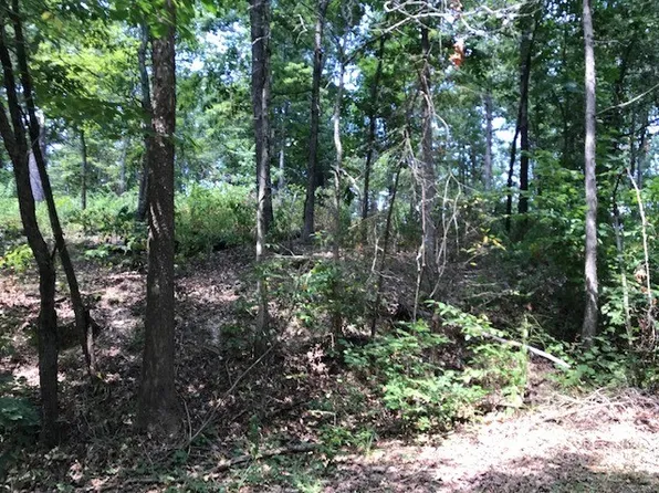 23 Armitage Dr #23, Bella Vista, AR 72715