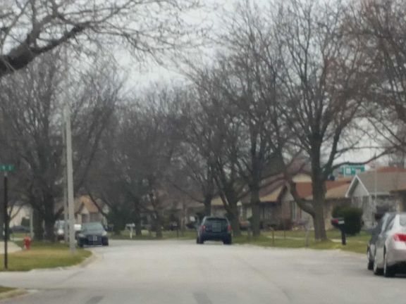 5th image of 12834 S Blossom Dr