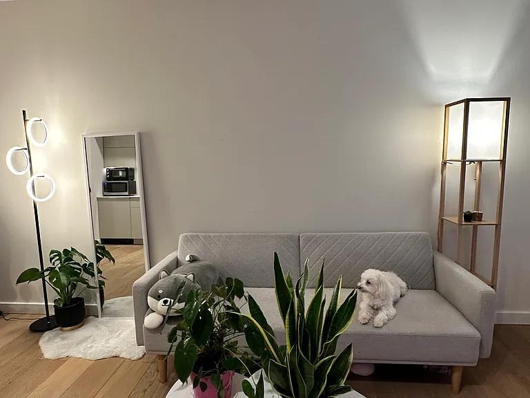 450 S Main St #613 — Photo 9