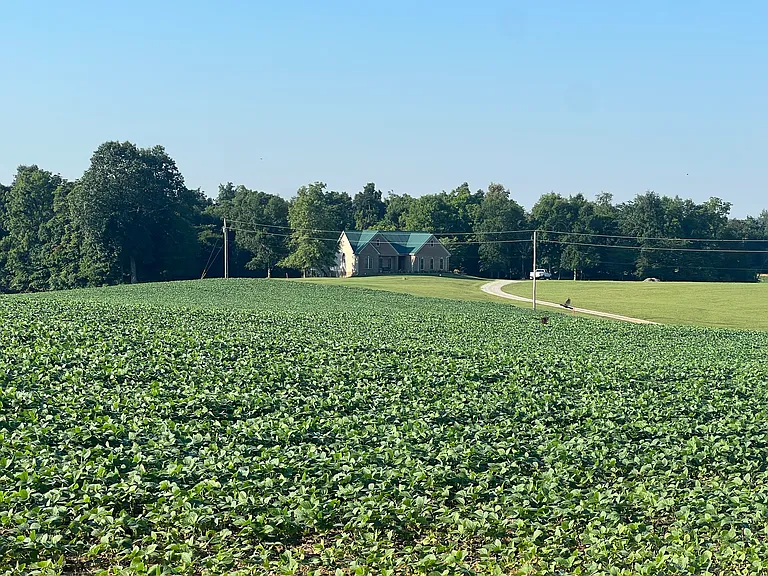 Surrounded By Farmland.