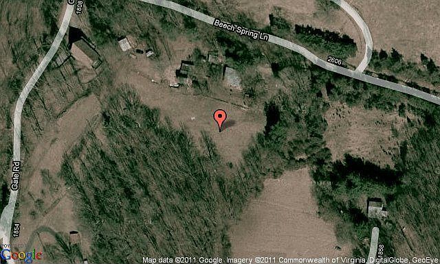 Map View