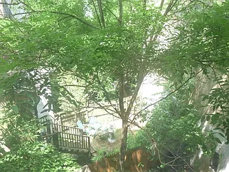 Rented by Nest Seekers International