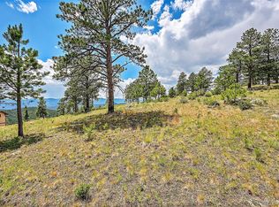 33550 Mount Wilson Trl, Pine, CO 80470