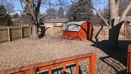 Backyard