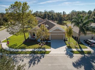 11030 Cobbs Ferry Ct, New Port Richey, FL 34654