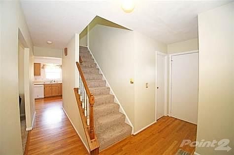 4th image of 7838 Eglington Ct