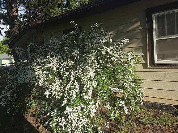 3rd image of 19 Elk Horn Ln