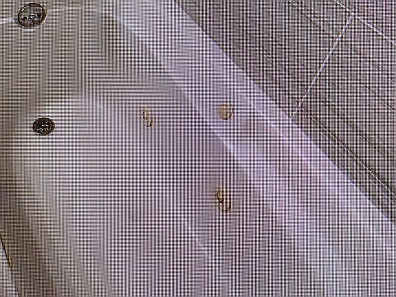 2nd image of 253 Kearney Ave Floor 2