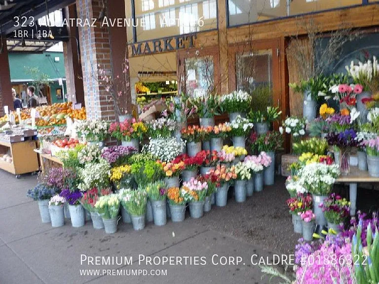 323 Alcatraz Ave #6 — Photo 16