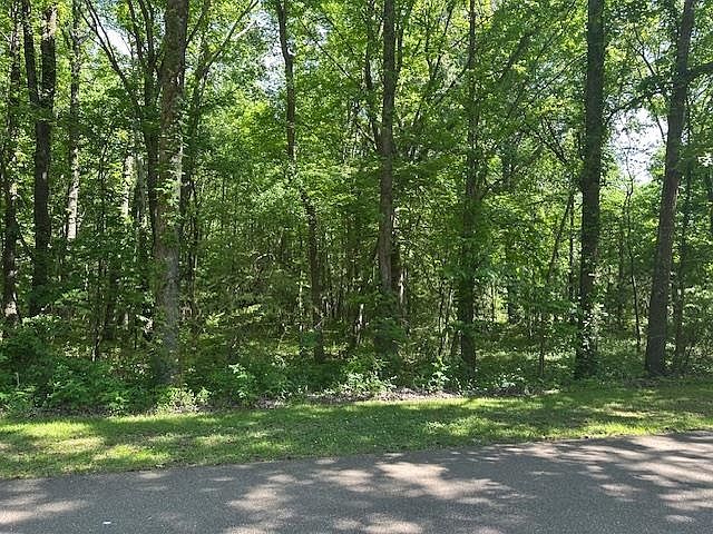 2nd image of 0 OLD CREEK RD