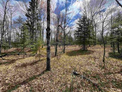 Nejedlo Rd #2, Wausaukee, WI, 54177