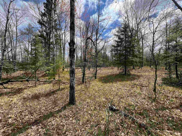 Nejedlo Rd #2, Wausaukee, WI 54177
