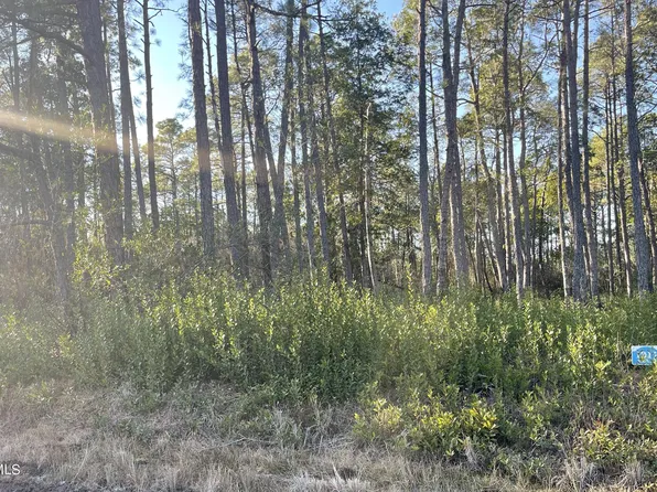 1311 Beech Road, Southport, NC 28461